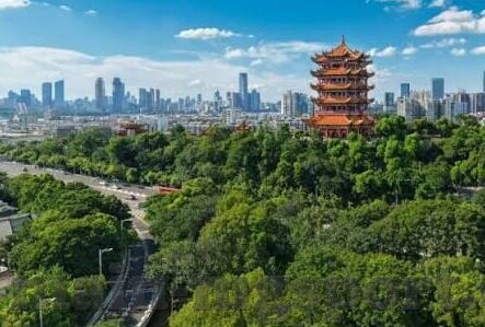 360足球直播新浪比分-360足球直播与新浪比分，足球迷的数字盛宴与数据指南