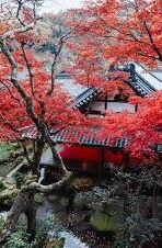 b足球比分-从比分背后看足球，一场数字游戏里的无限乾坤